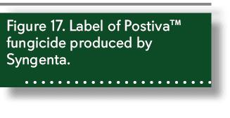 Figure 17. Label of Postiva™ fungicide produced by Syngenta. 