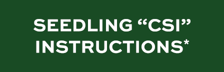 SEEDLING “CSI” INSTRUCTIONS*