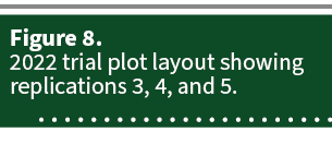 Figure 8. 2022 trial plot layout showing replications 3, 4, and 5. 