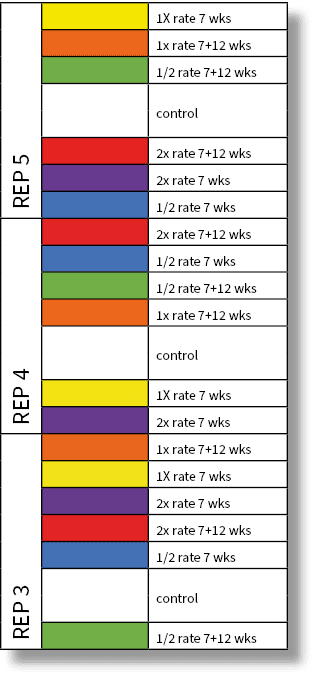 REP 5,,1X rate 7 wks,,1x rate 7+12 wks,,1/2 rate 7+12 wks,,control,,,2x rate 7+12 wks,,2x rate 7 wks,,1/2 rate 7 wks,...