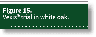 Figure 15. Vexis® trial in white oak. 