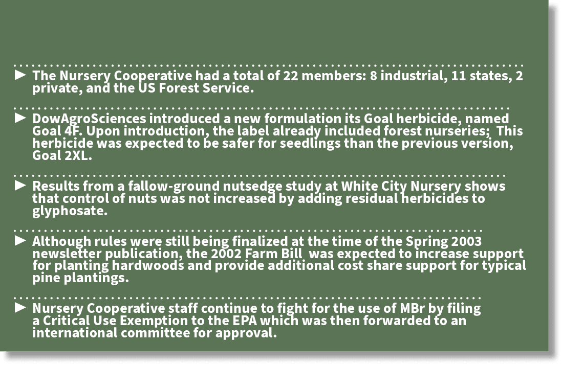 20 Years Ago - Article