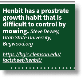Henbit has a prostrate growth habit that is difficult to control by mowing. Steve Dewey, Utah State University, Bugwo...