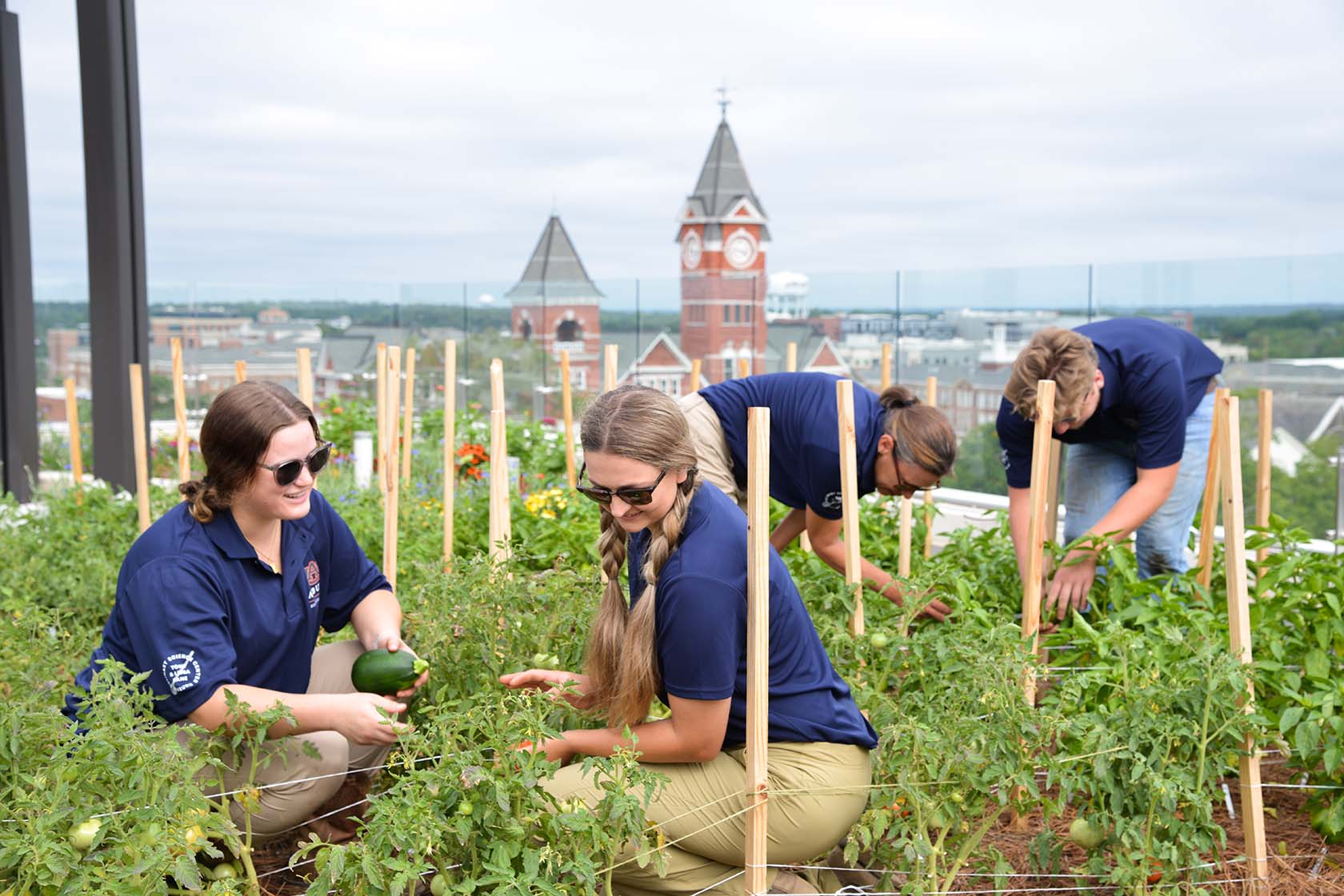 College of Agriculture students planting plants