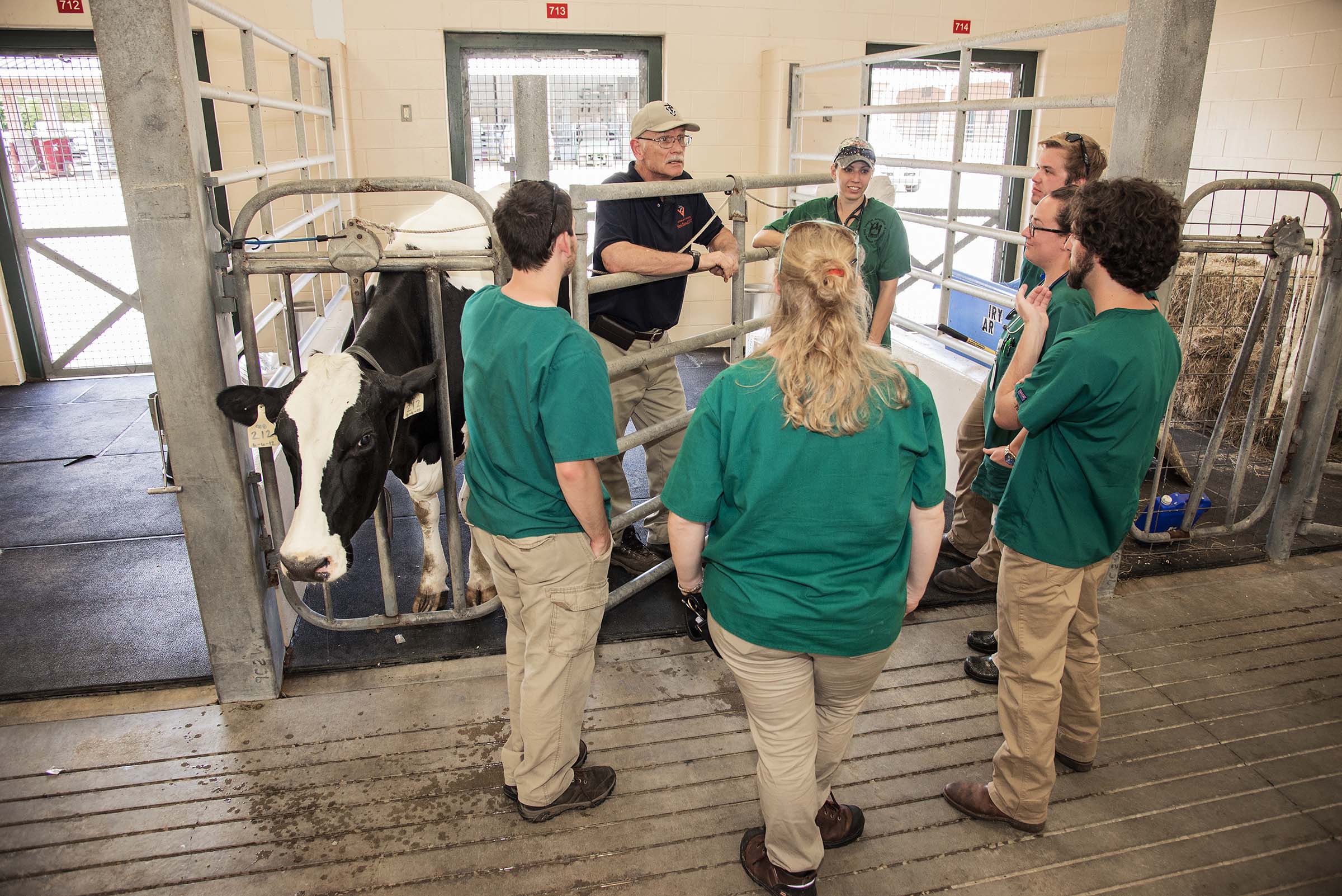 College of Vet Med students at cattle gate