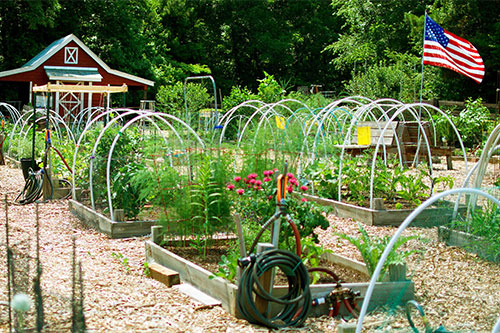 Image of a garden with American flag