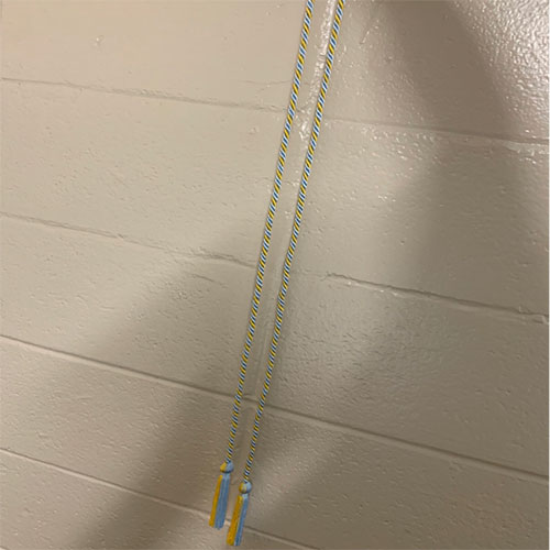 Alpha Tau Omega light blue and yellow cord