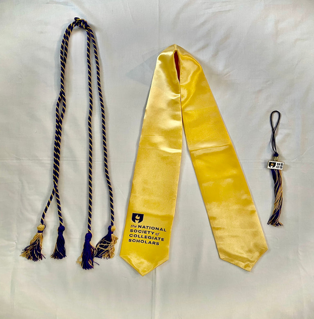 Collegiate Horsemen's Assocation teal, silver, and royal blue braided cord