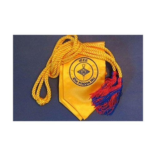 Biomedical Engineering Society Auburn Student Chapter Light blue/white cord