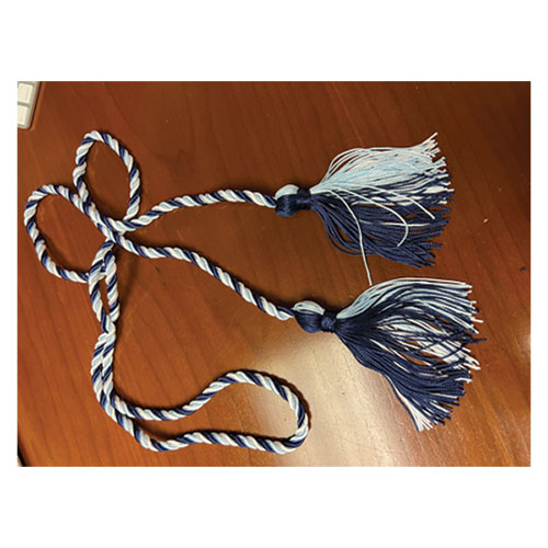Student Involvement Leaders light blue and navy cord