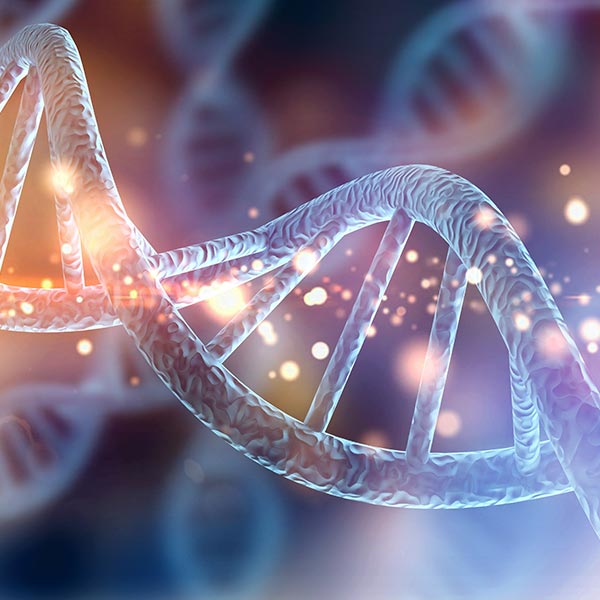 Computer generated image of DNA