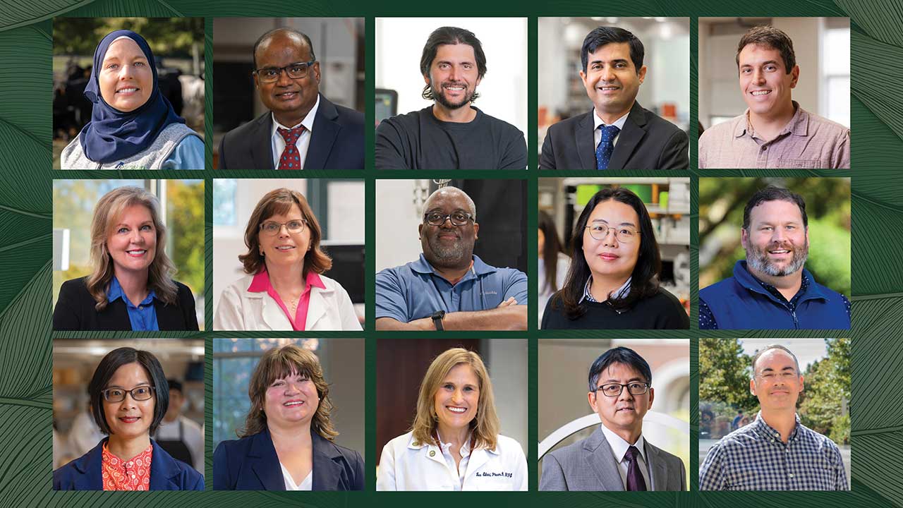 2025 Faculty Award Winners