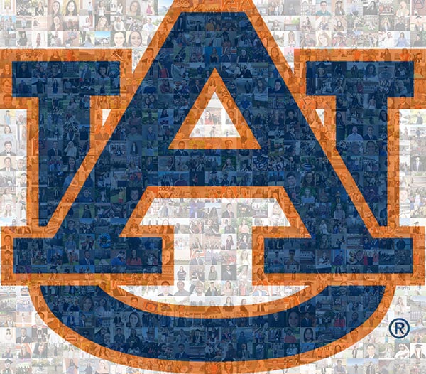 A mosaic image of several graduates