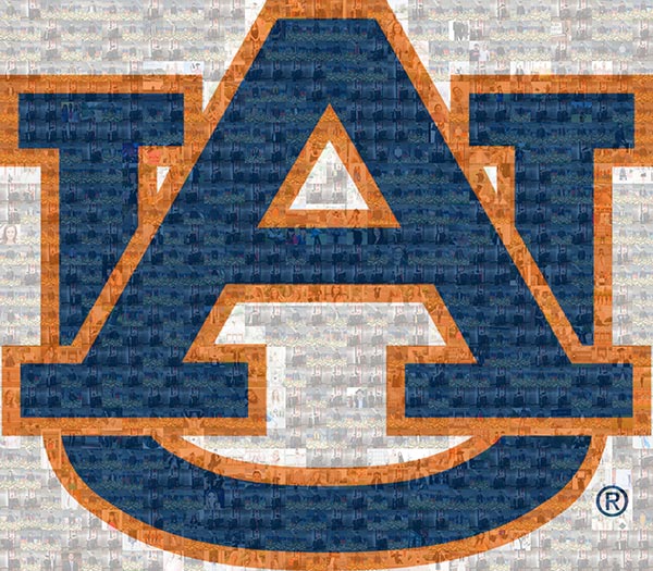 A mosaic image of several graduates
