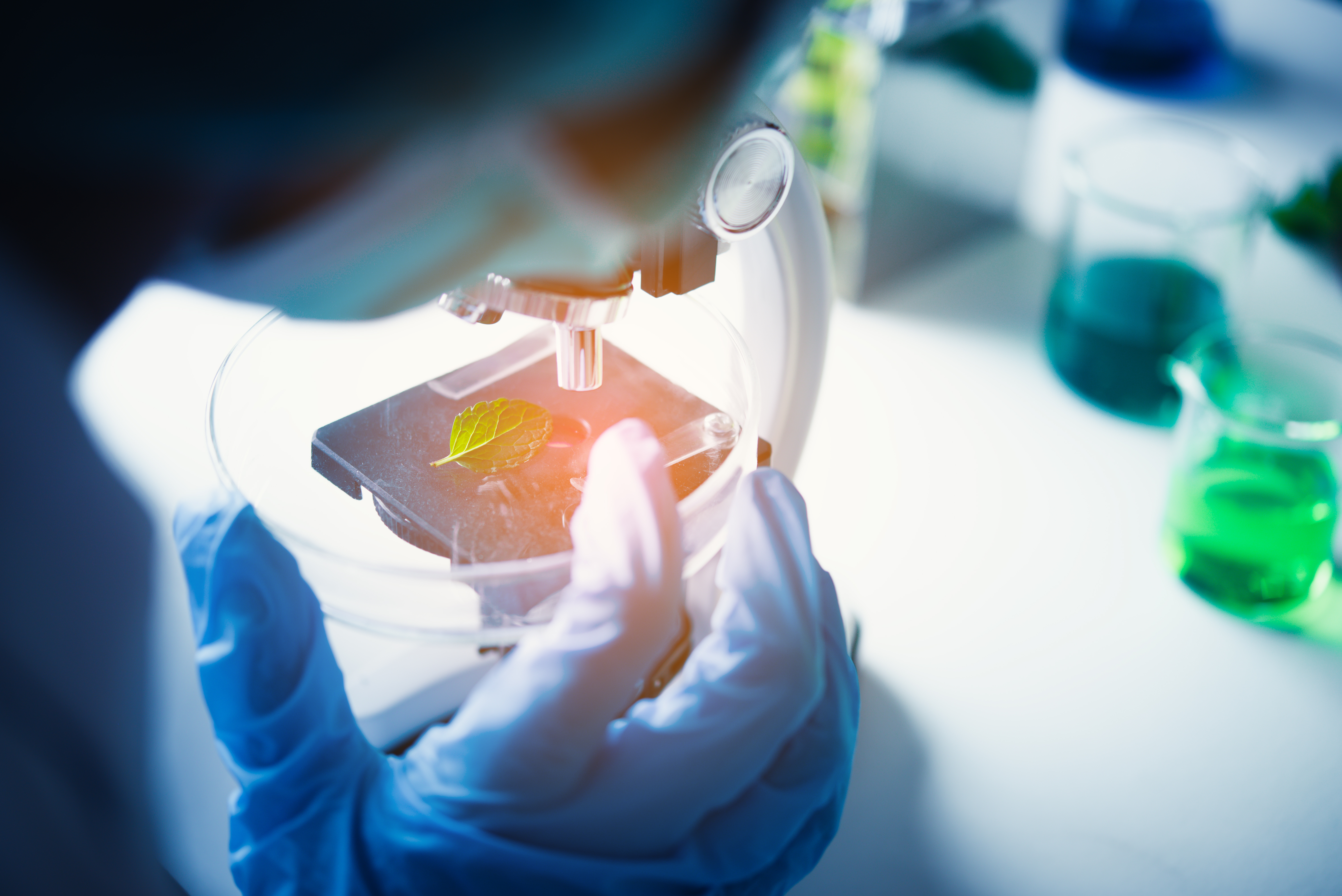 ExperimentalMethods