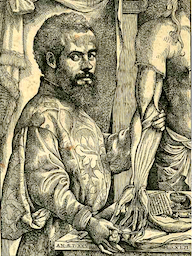 Andreas Vesalius