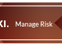 XI. Manage Risk