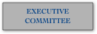 EXECUTIVE COMMITTEE