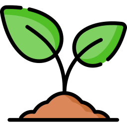 plant.png