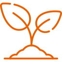plant.png