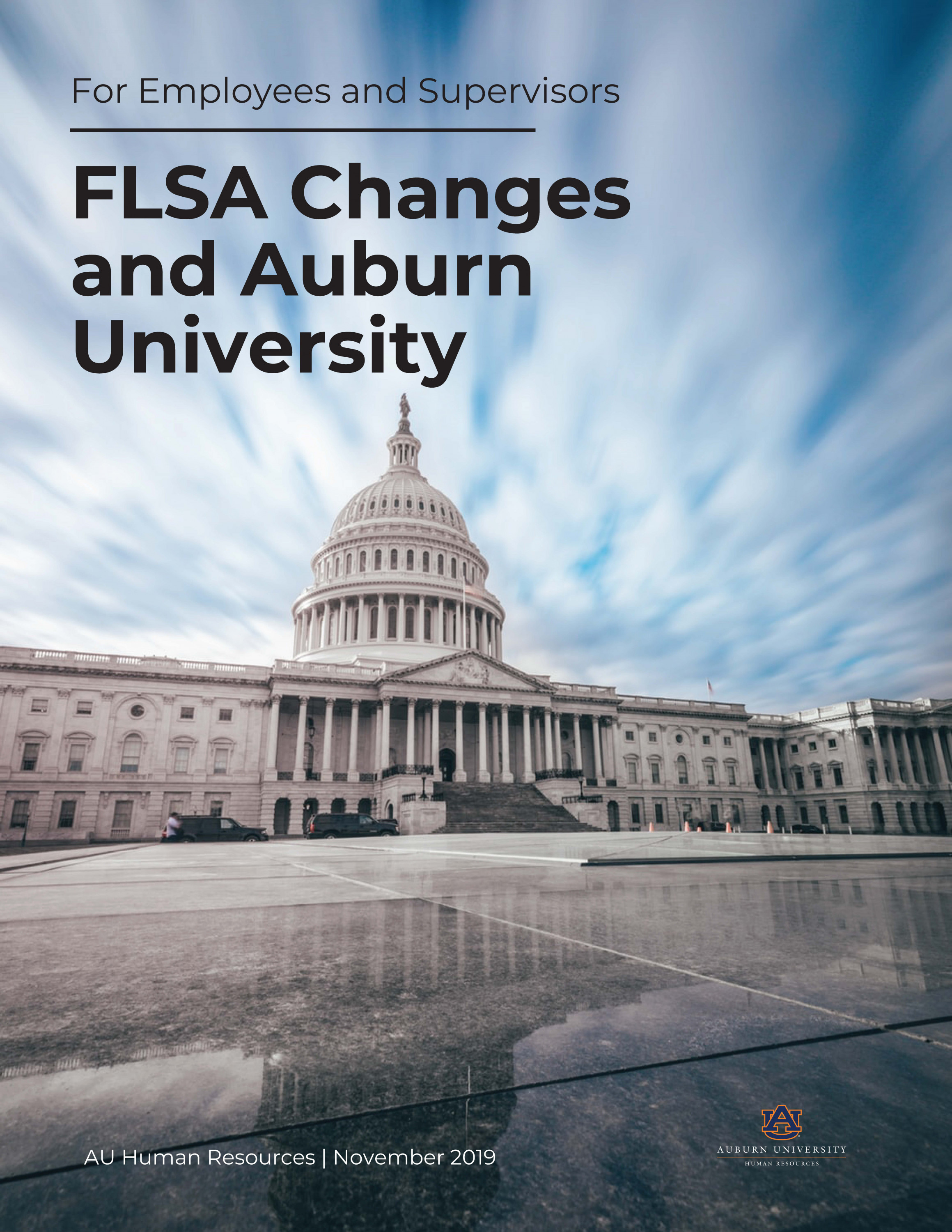flsa guide cover
