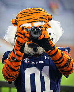 Aubie holding a camera