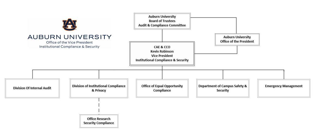 Visual Representation of the reporting units to the VPICS