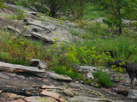 sandstone outcrops