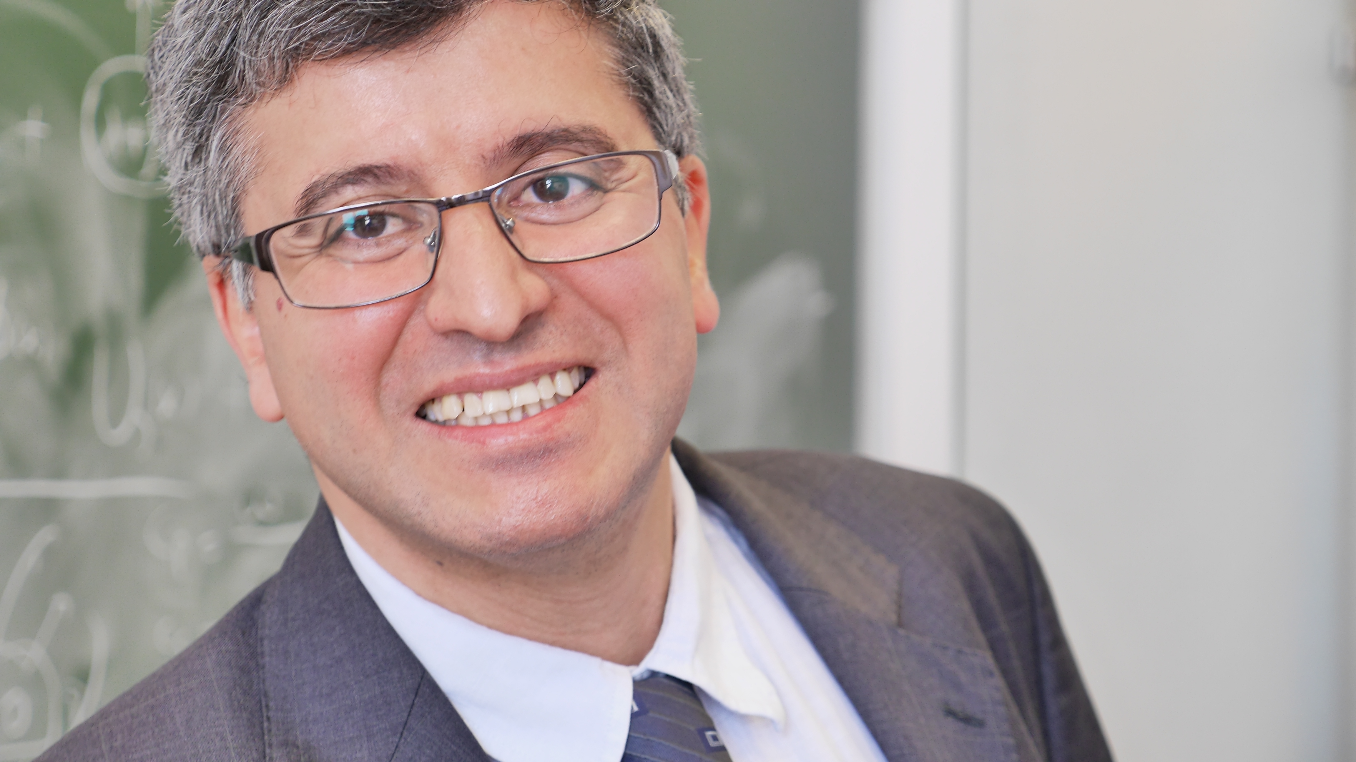 Professor Habib Ammari 