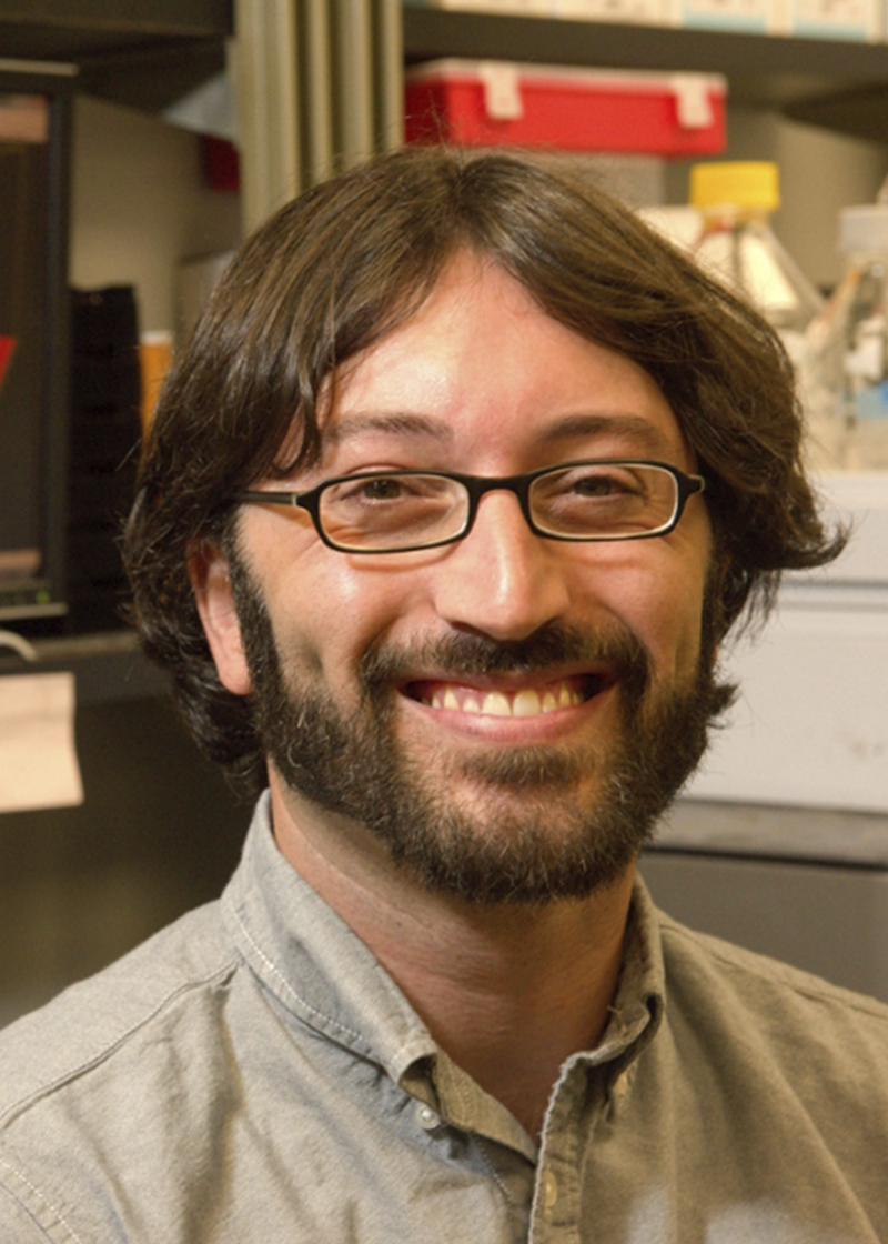 Steven Mansoorabadi