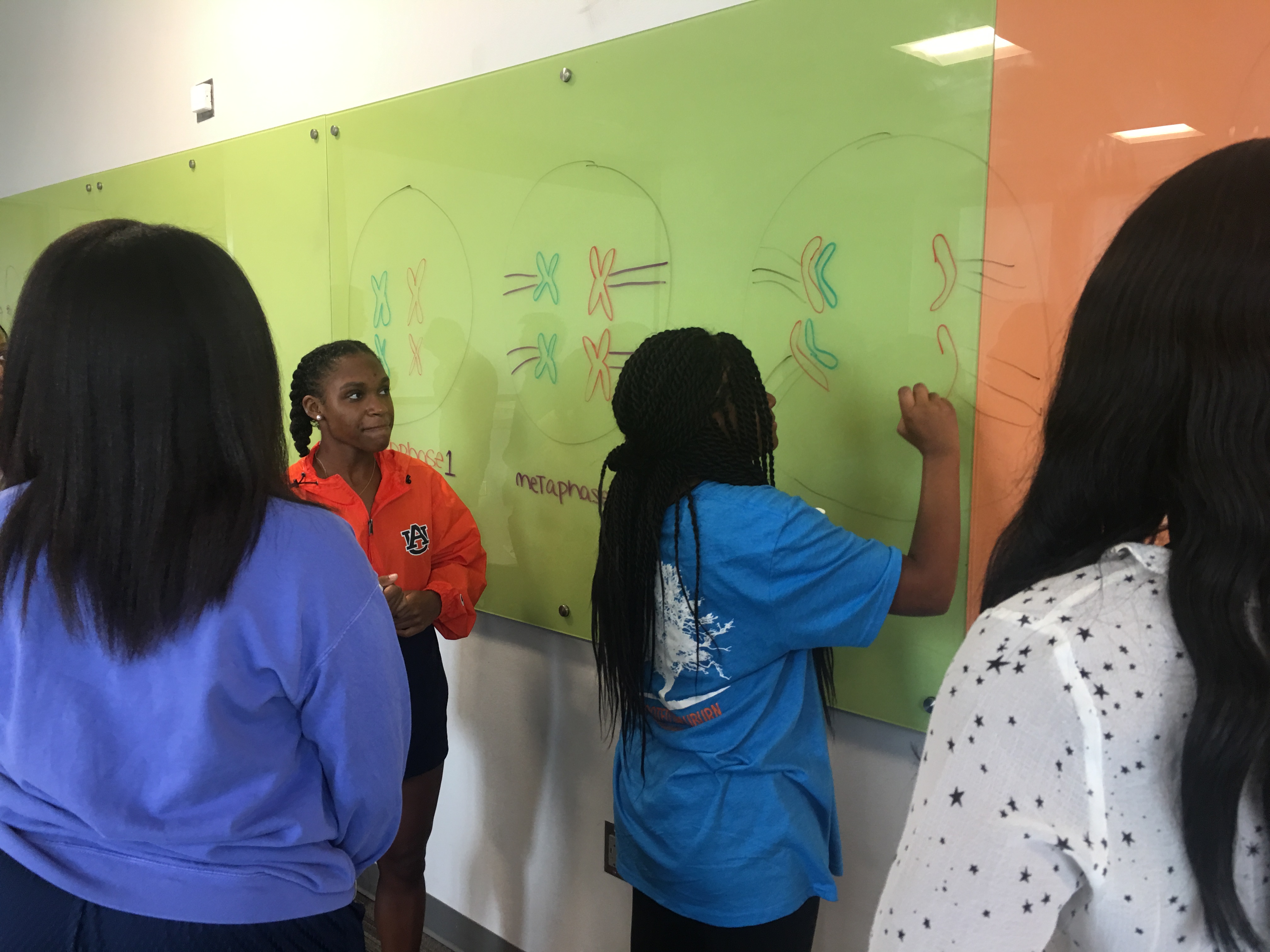 Summer Bridge 2019 Participants
