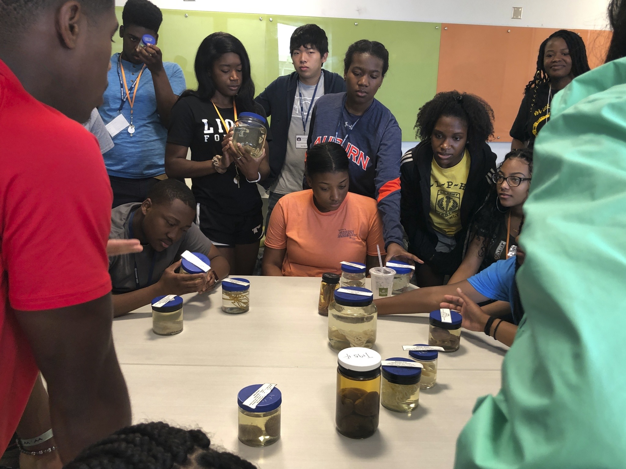 Summer Bridge 2019 Participants