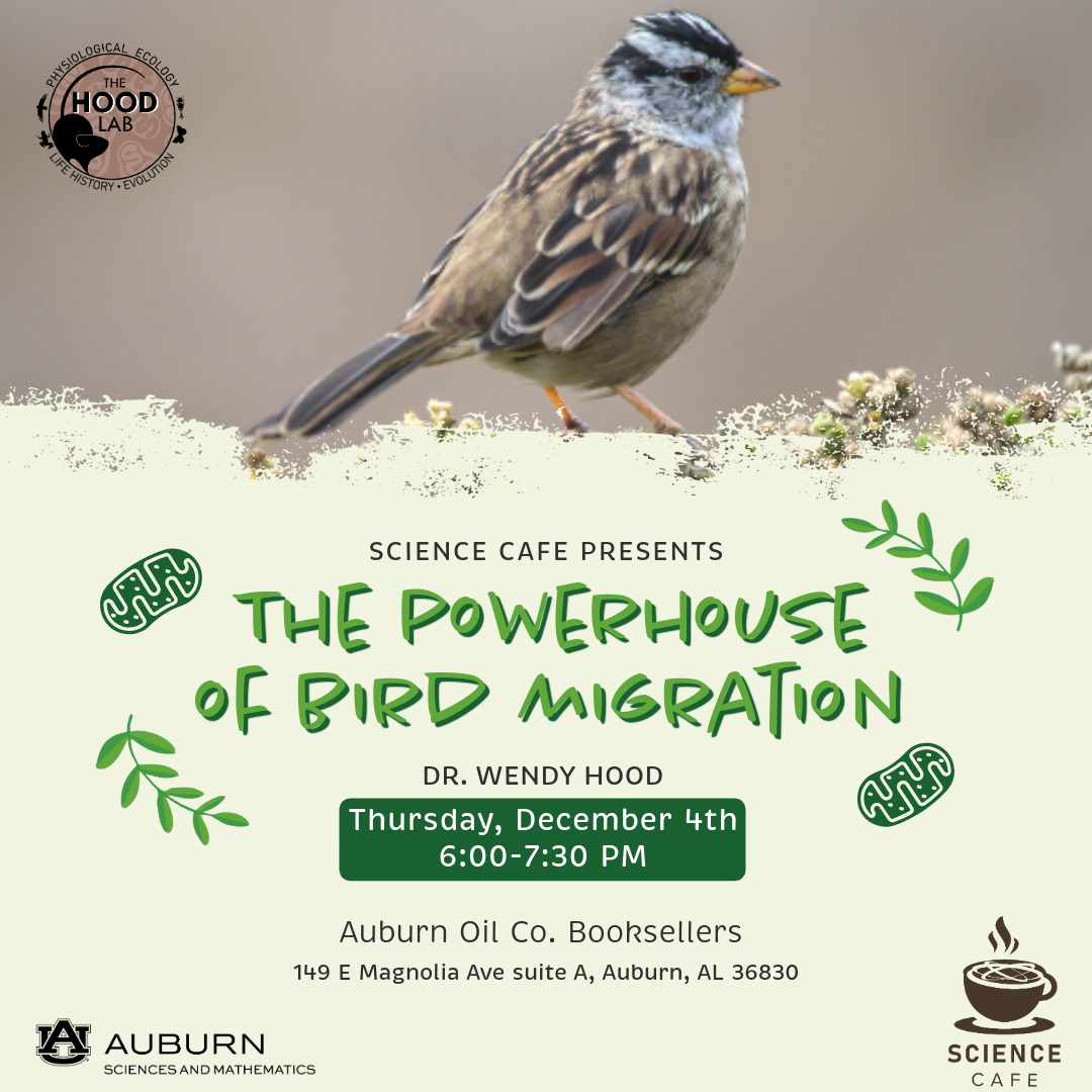 December Science Cafe Image