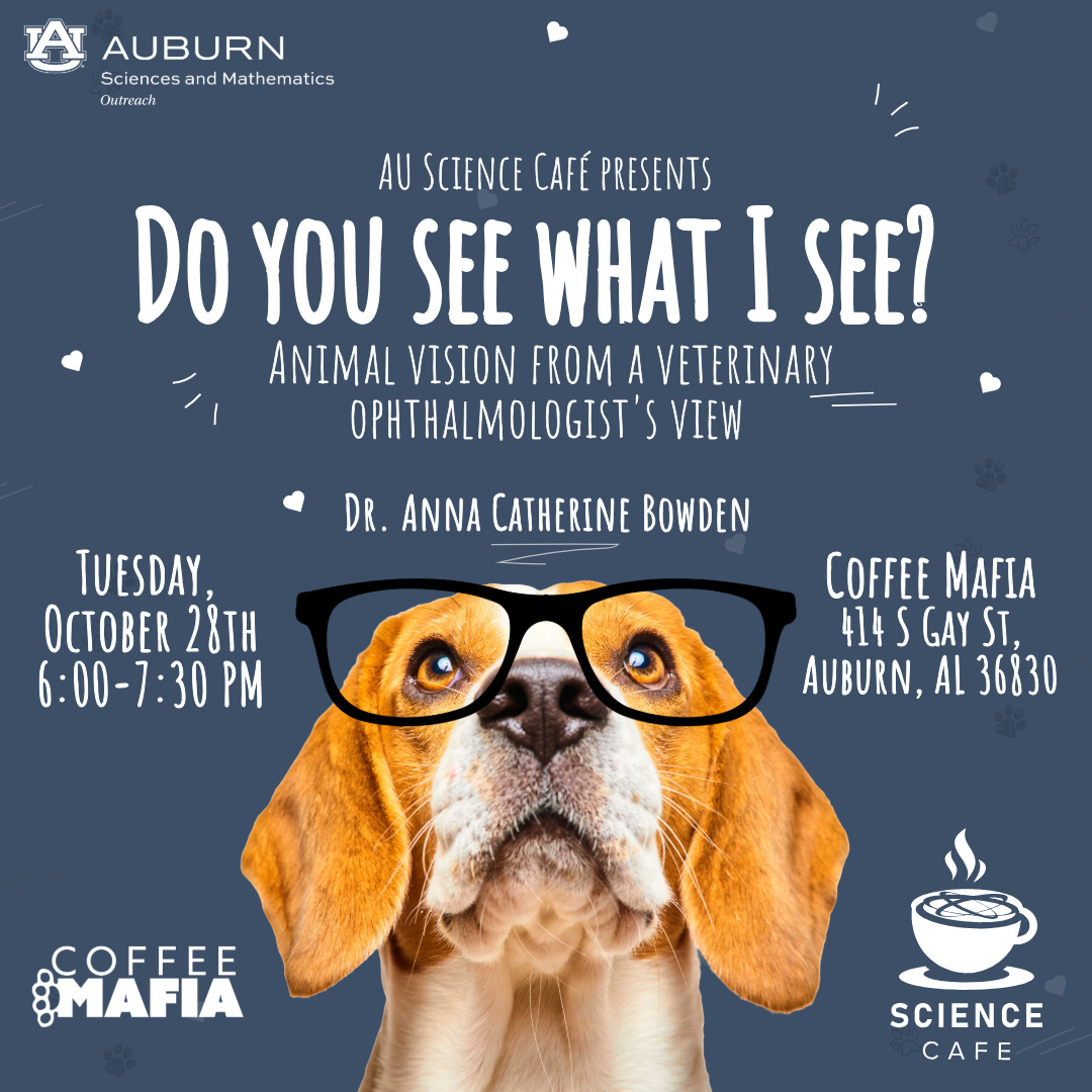 October's Science Cafe Image