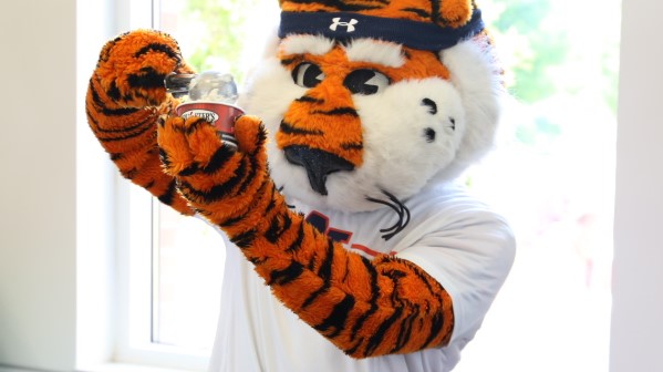 Aubie scooping ice cream.