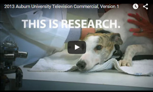 Screen shot of the 2013 commercial.