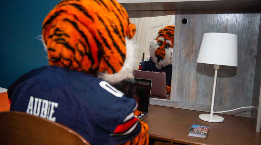 Aubie in a dorm using a computer.