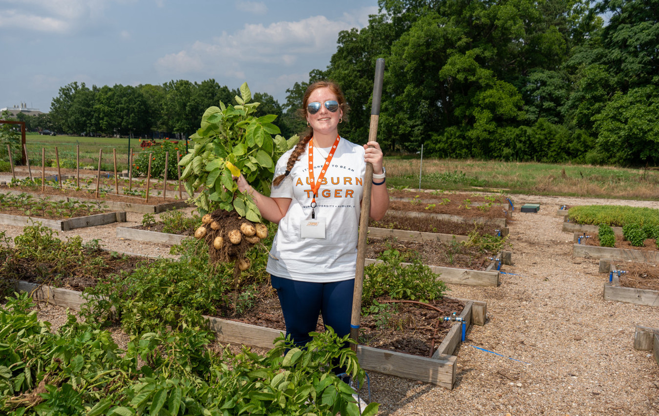 A student smiling holding potatoes harvested during a summer program project.