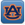 Auburn Family Network