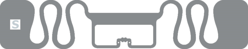 Belt Belt