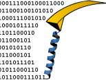BioPhys