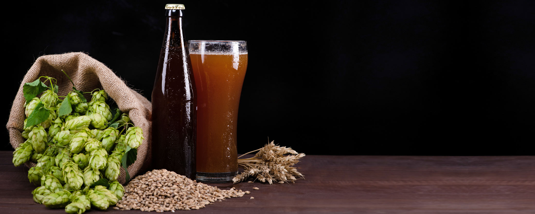 Photo of hops and wheat on a table