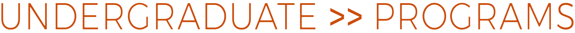 Undergraduate Programs