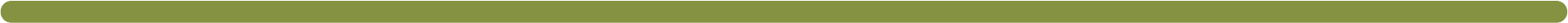 orange horizontal line