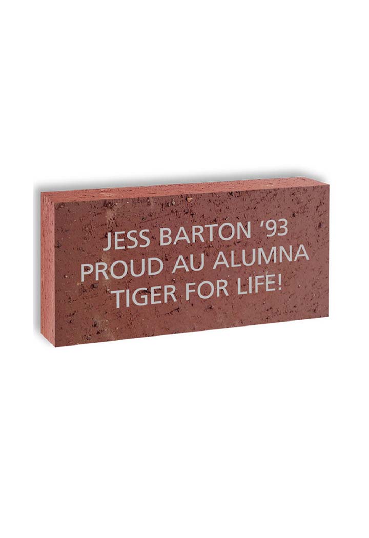 A picture of the described brick