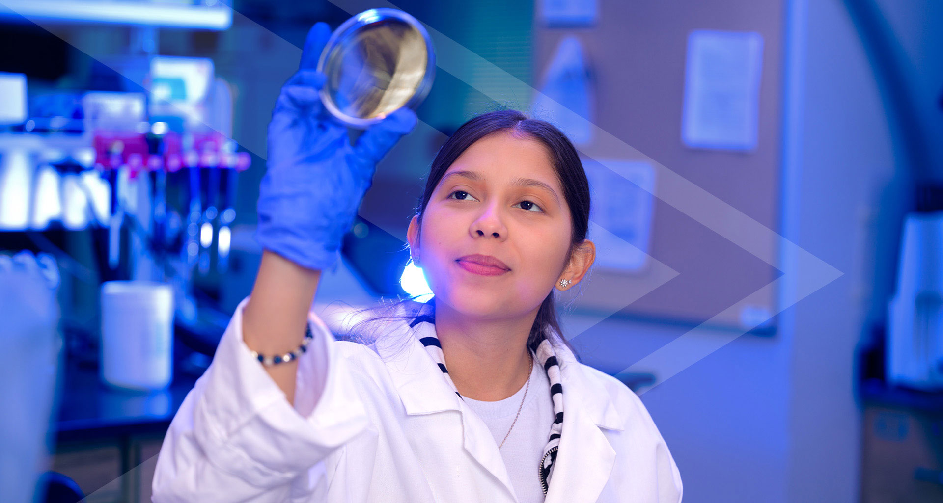 A researcher looks at a sample dish