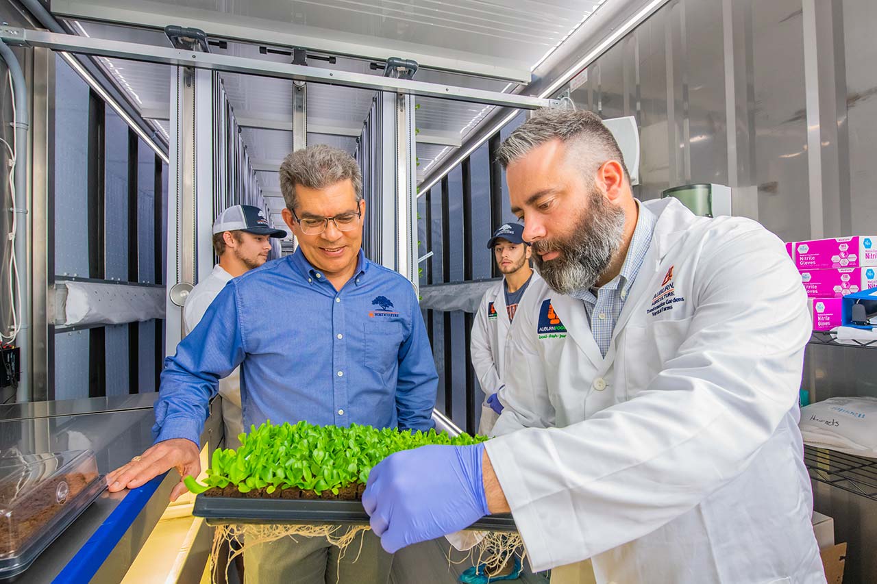 Researchers examine plants