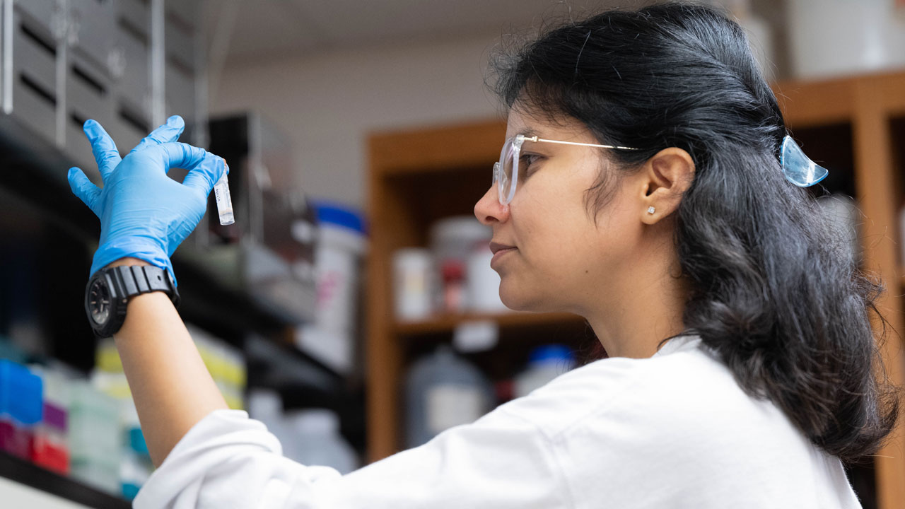 A student conducts research in a lab