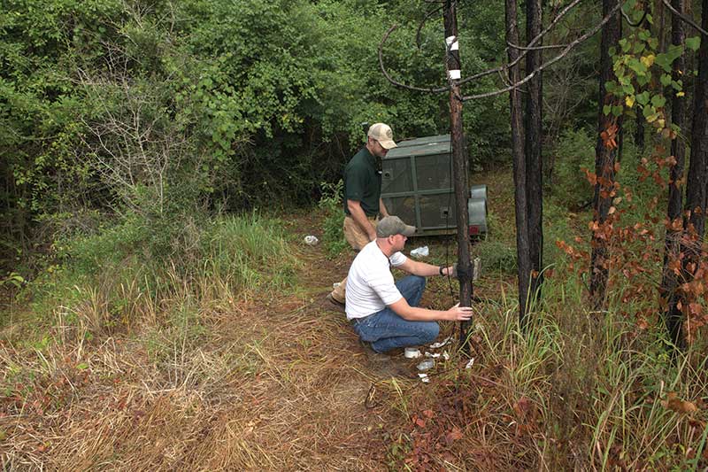 A man works on a pole outside