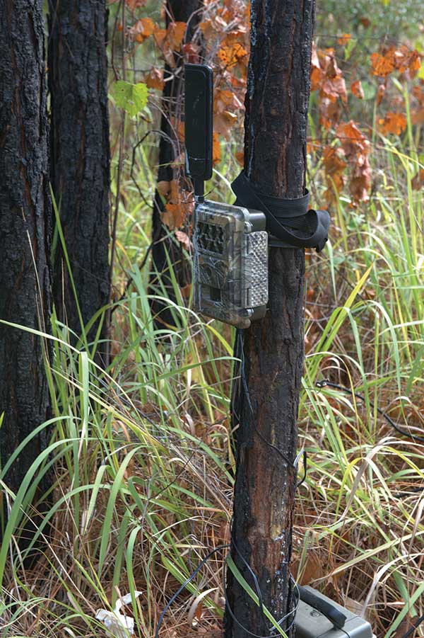 A camera is shown on a pole